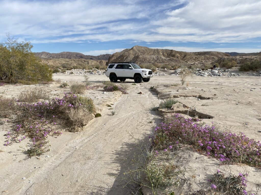 Anza-Borrego weather November