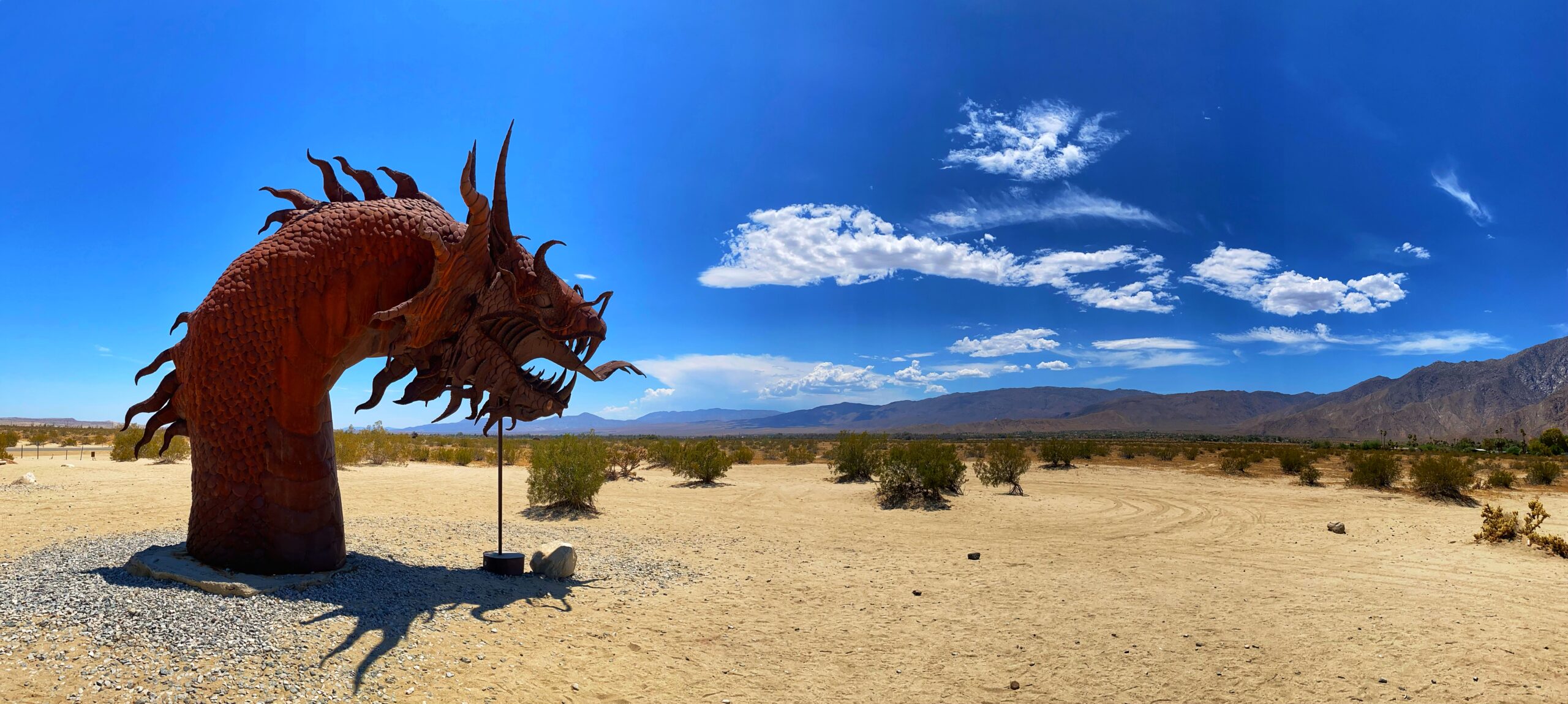 April desert landscape: sun, heat, cacti, dry conditions. Spring desert timing.