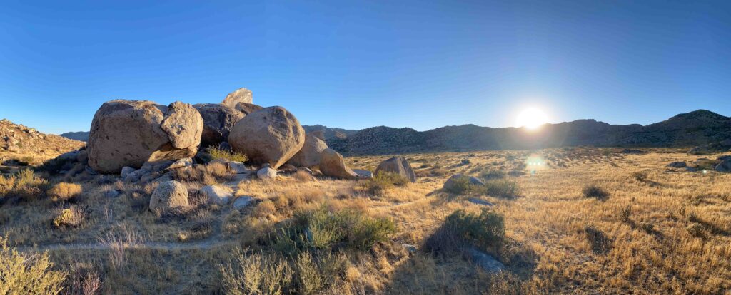 Divine Desert Destination provides detailed information for visitors planning spring desert travel adventures.